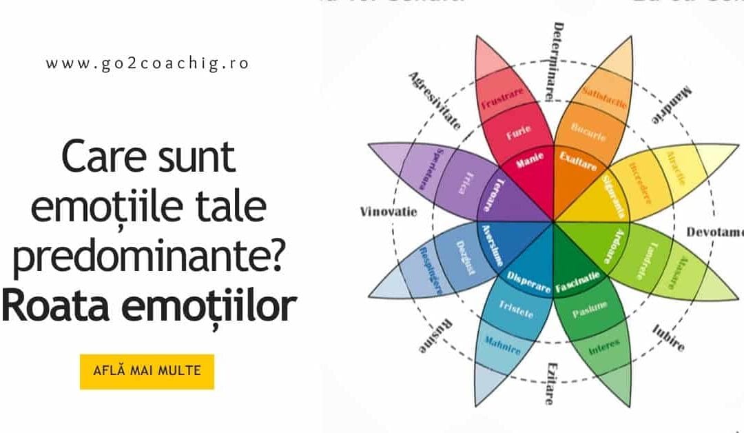 Roata emoțiilor: ce se întâmplă de fapt în tine