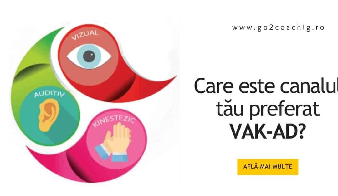 Sistemul de reprezentare VAK-AD în NLP